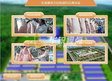 生豬屠宰及檢疫VR虛擬仿真實驗軟件