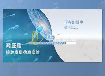 雞胚接種技術(shù)VR虛擬仿真實驗教學(xué)軟件